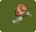 descendingsnail