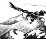 wingspan